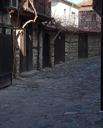 глобал вил * Slantschew brjag