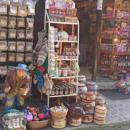 דירה глобал вил