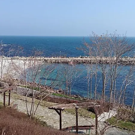 глобал вил דירה