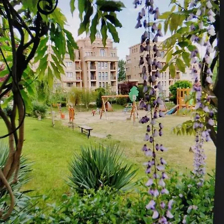 глобал вил סאני ביץ'